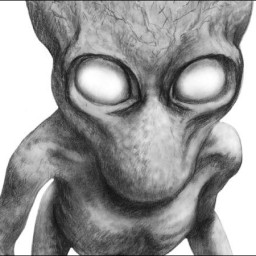 Administrateur avatar